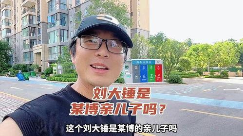 刘大锤今日瓜,揭秘娱乐圈最新热点事件