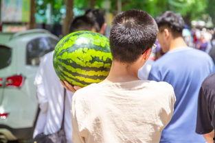 吃瓜爆料南大视频,吃瓜爆料背后的真相揭秘
