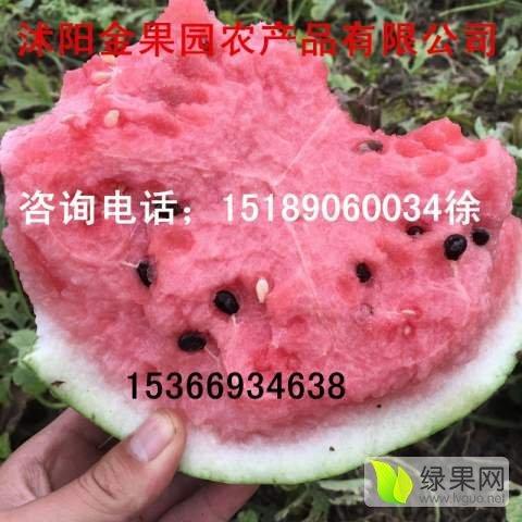今日江苏瓜价