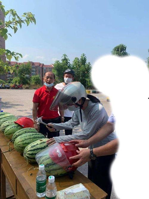 凉山吃瓜爆料事件,揭秘网络舆论背后的真相与争议