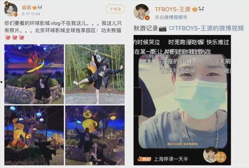 明星网红最新打卡,揭秘网红打卡新潮流