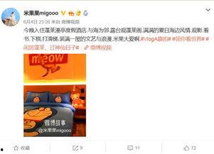 明星网红最新打卡,揭秘网红打卡新潮流