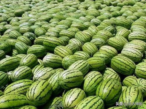 今日吃瓜反差大瓜
