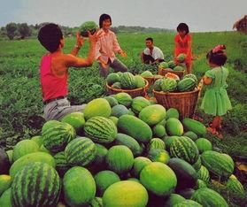 热门大瓜都有哪些,揭秘明星幕后故事