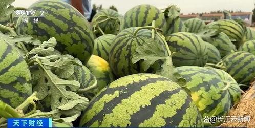 2025年热门瓜合集,揭秘年度焦点与热议瞬间