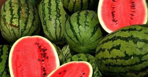 2025年热门瓜合集,揭秘年度焦点与热议瞬间