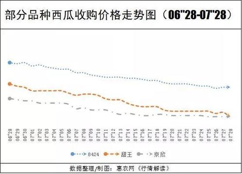 今日瓜价行情瓜州,今日瓜市风云变幻