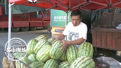 今日瓜价行情瓜州,今日瓜市风云变幻