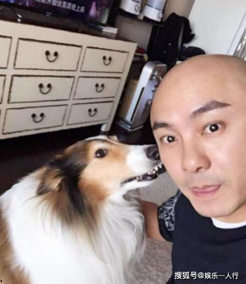 明星网红养狗,宠物界的明星风采