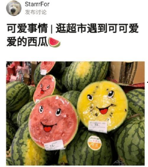 摘吊瓜热门文案,品味田园生活的甜蜜诱惑