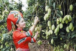 百色吃瓜爆料,揭秘背后真相，带你走进事件核心