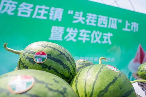 ccggtech今日吃瓜,揭秘科技圈最新热点事件