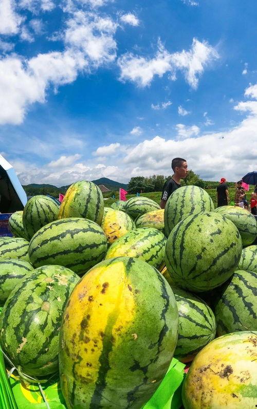 梁山最近热门吃瓜,揭秘梁山最新热门事件背后的真相