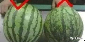 梁山最近热门吃瓜,揭秘梁山最新热门事件背后的真相