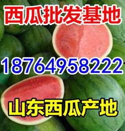 兰州今日瓜价,瓜果飘香，价格波动一览无余”