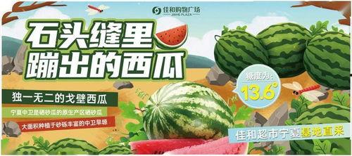 51热门大瓜今日吃瓜,今日吃瓜指南，揭秘娱乐圈最新热点