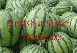 渭南今日瓜价,新鲜瓜果价格一览”
