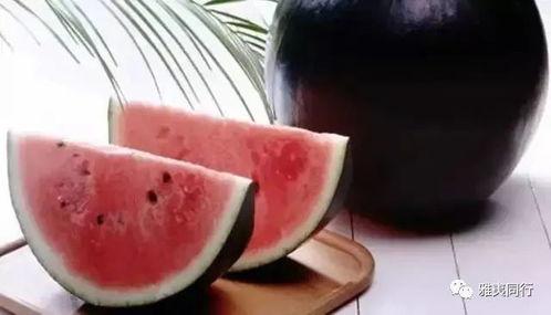 吃瓜八卦黑历史曝光图,吃瓜群众背后的黑历史曝光图大揭秘