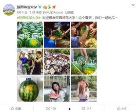 学院吃瓜爆料视频素材,吃瓜爆料视频背后的真相大揭秘