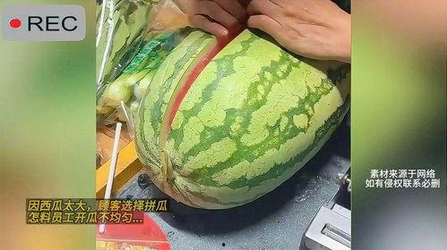 黑瓜吃料正能量往期内容,回顾往期精彩，传递积极力量