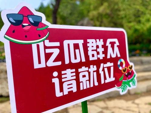 2024年最新吃瓜爆料,揭秘明星幕后真相