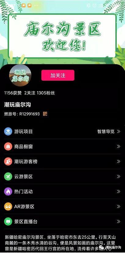 热门吃瓜群号,带你领略网络八卦风云