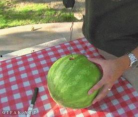 今日吃瓜感悟,品味人间百态