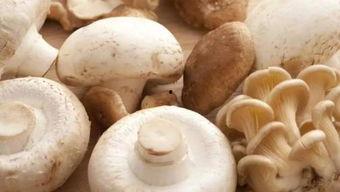 吃瓜网曝揭秘黑料蘑菇,黑料蘑菇背后的真相大起底