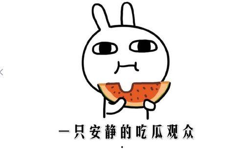各种热门事件吃瓜,吃瓜群众视角下的社会百态