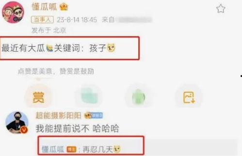 网传热门瓜资源,热门瓜资源背后的真相与内幕