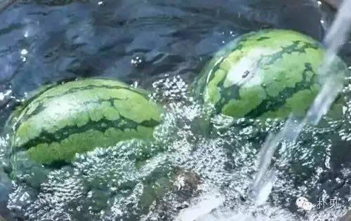 上热门河北的瓜,热门瓜种盘点
