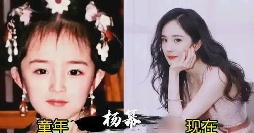 明星网红小同文,网红明星的跨界魅力与影响力解析