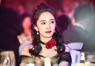 明星网红退场原因,揭秘背后的原因与启示