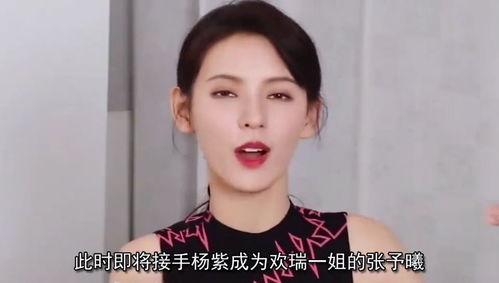 中国成为明星网红,明星网红引领新时代潮流