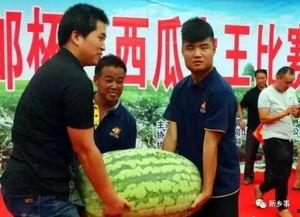 长垣瓜事热门事件,一场引发全民热议的瓜农维权传奇