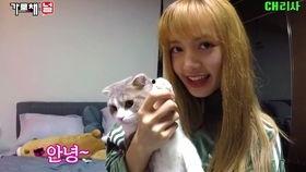 Lisa今日吃瓜,娱乐圈新鲜事盘点