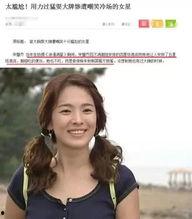 宋慧乔八卦黑历史吃瓜,从女神到“黑历史”吃瓜，揭秘娱乐圈的真相与争议