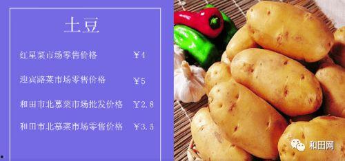 今日菜价吊瓜,今日菜价新篇章