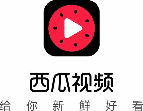 今日抖音瓜,今日瓜料盘点，揭秘网红幕后故事