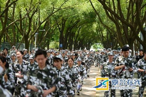 红领巾吃瓜爆料军训,揭秘军训那些事儿