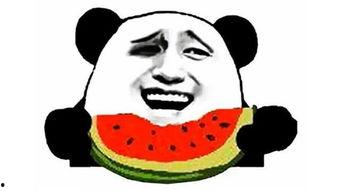 农村吃瓜爆料图片搞笑,笑料百出，图说乡村欢乐时光