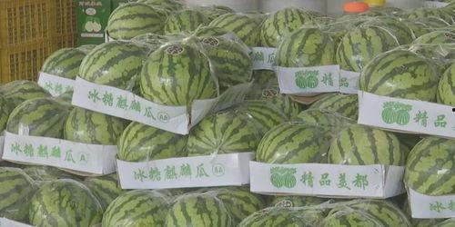 近几年热门大瓜,盘点近几年热门大瓜事件