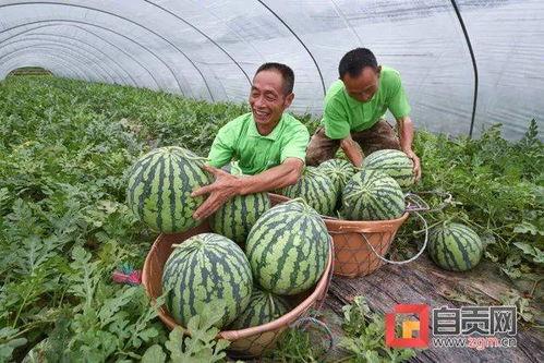 近几年热门大瓜,盘点近几年热门大瓜事件