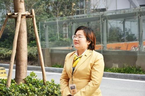 芜湖的明星网红,揭秘芜湖本土明星的璀璨魅力
