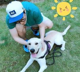 娱乐圈吃瓜小狗小说在线阅读,吃瓜小狗的甜蜜复仇之旅