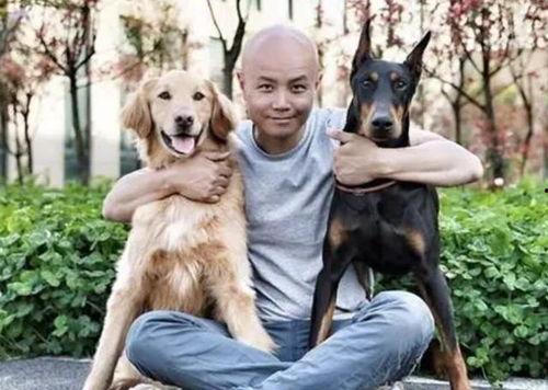 娱乐圈吃瓜小狗小说在线阅读,吃瓜小狗的甜蜜复仇之旅