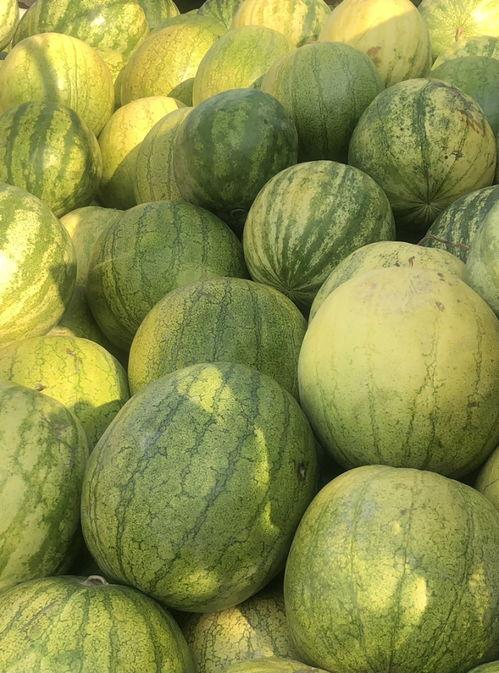 51热门黑料吃瓜爆料免费大全