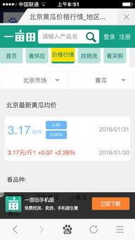 今日瓜价查询,市场动态一览