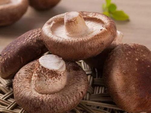 吃瓜网曝揭秘黑料蘑菇视频,蘑菇视频背后的惊人黑料