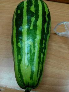 吃瓜爆料渠道是什么,吃瓜爆料背后的神秘渠道